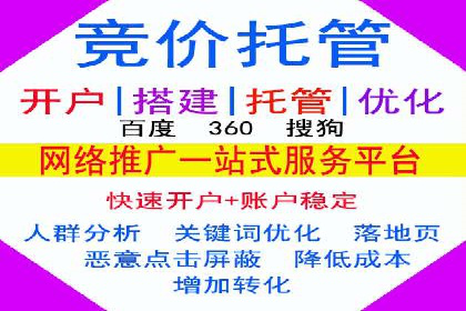 百度推广平台案例剖析：揭秘广告投放策略